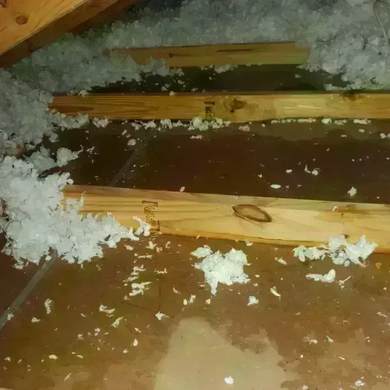 Attic Water Damage in Sequim, WA